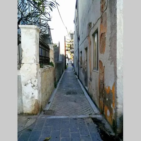 Islander's Yard #4 * Rhodes City